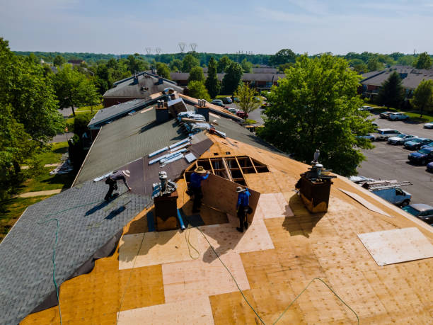 Roof Gutter Cleaning in Carroll Valley, PA