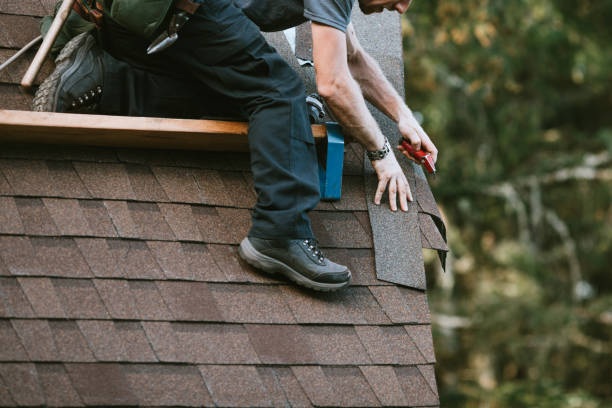Best Metal Roofing Contractor  in Carroll Valley, PA